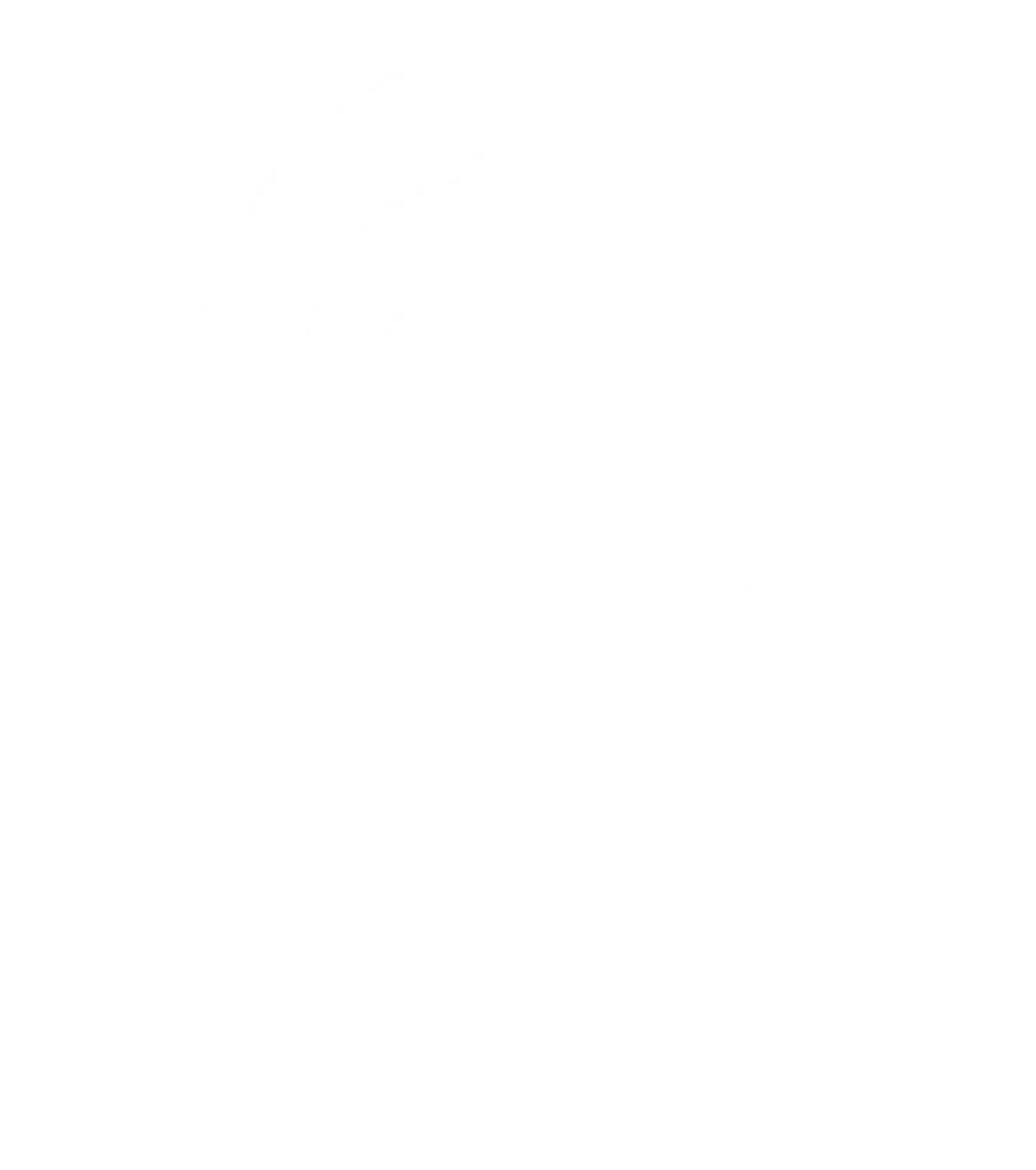 گالری طلا و جواهر روناک